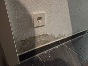 img4.jpg