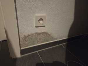 img5.jpg