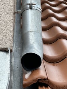 IMG_8813.JPG