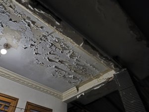 IMG_20250824_211847.jpg