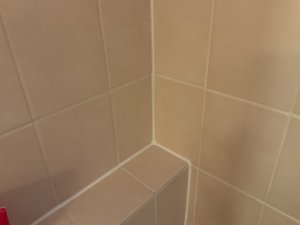 IMG_0591.jpeg