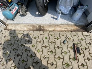 IMG_2307.jpeg