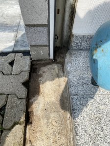 IMG_2308.jpeg