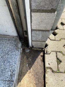 IMG_2309.jpeg