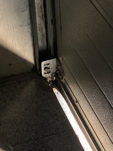 IMG_2310.jpeg