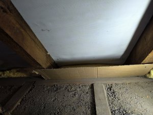 IMG_20260511_175618.jpg