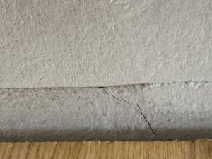IMG_6483.jpeg