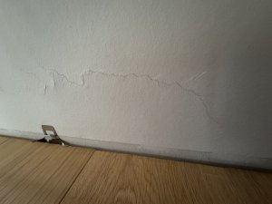 IMG_6484.jpeg