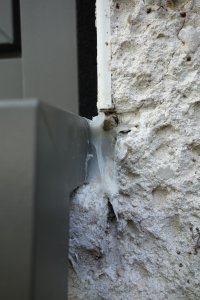 DSC01291.JPG