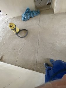 IMG_9181.jpeg