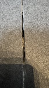IMG_8386.jpeg