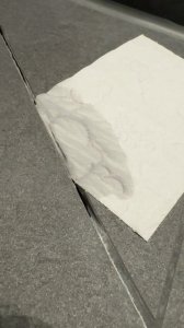 IMG_8397.jpeg