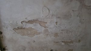 20260515_181057.jpg