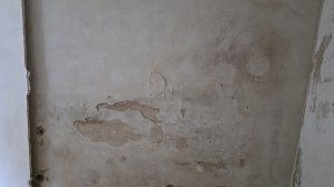 20260515_181101.jpg
