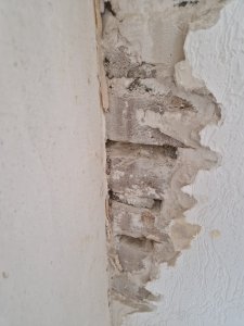 20260519_182420.jpg