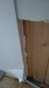 IMG-20260518-WA0001.jpeg
