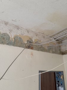 IMG_1395.jpeg