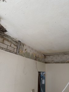 IMG_1393.jpeg