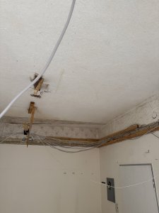 IMG_1392.jpeg