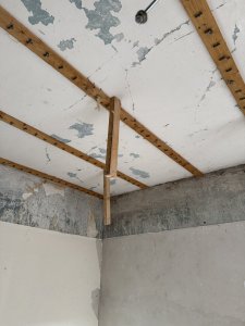 IMG_1390.jpeg