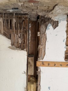 IMG_1387.jpeg