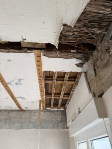 IMG_1386.jpeg