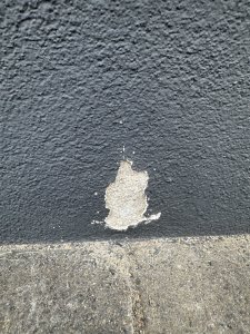 IMG_8239.jpeg