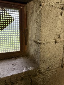 IMG_1012.jpeg