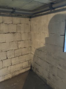 IMG_0594.jpeg