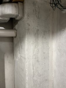 IMG_6726.jpeg