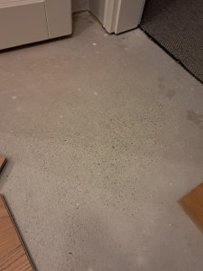 20260525_114029.jpg
