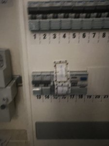 IMG_4110.jpeg