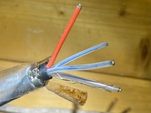 IMG_4112.jpeg