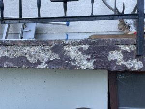 IMG_0993.jpeg