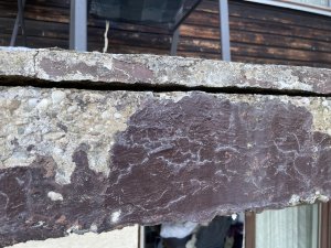 IMG_0997.jpeg