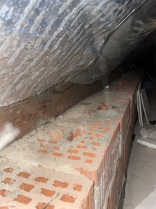 IMG_3835.jpeg