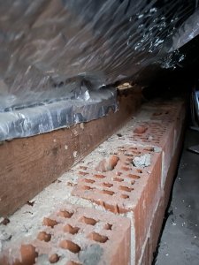 IMG_3832.jpeg