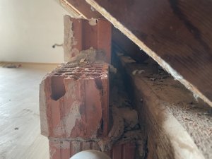 IMG_3840.jpeg