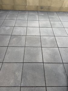 IMG_0290.jpeg