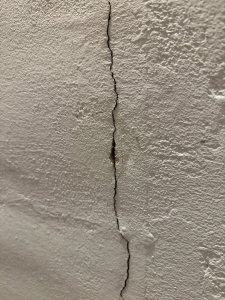 IMG_6966.jpeg