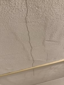 IMG_6965.jpeg