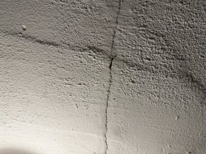 IMG_6963.jpeg