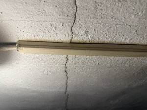 IMG_6962.jpeg