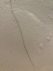 IMG_6961.jpeg