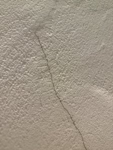 IMG_6960.jpeg