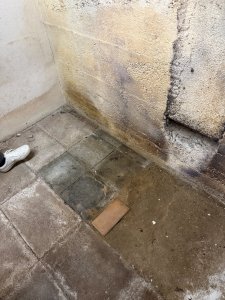 IMG_6955.jpeg