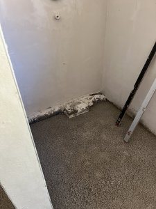 IMG_6237.jpeg