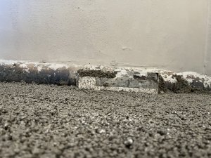 IMG_6235.jpeg