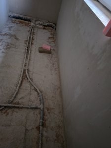 IMG_6257.jpeg