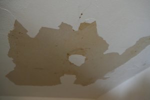 Bild3.JPG